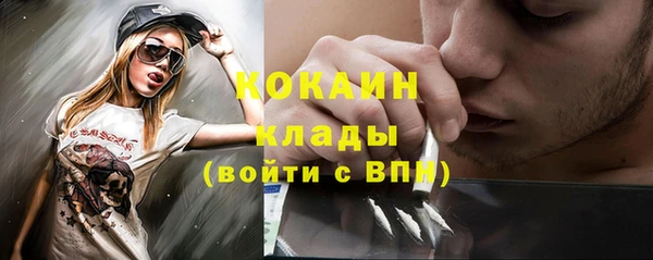 прущие грибы Краснотурьинск