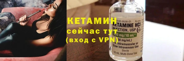 прущие грибы Краснотурьинск