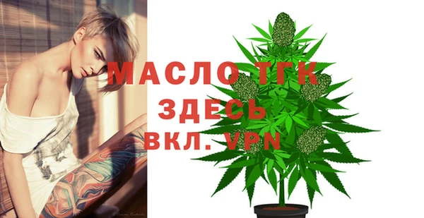 прущие грибы Краснотурьинск