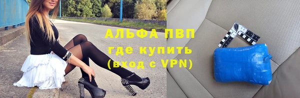 прущие грибы Краснотурьинск