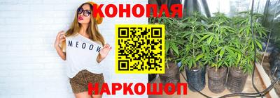 СК Жуковский