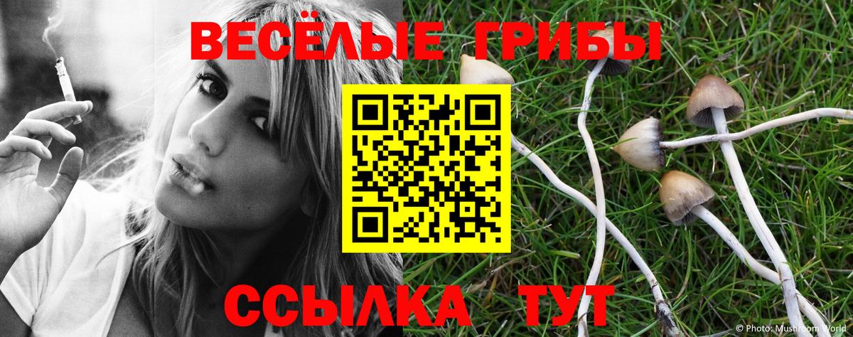 Галлюциногенные грибы GOLDEN TEACHER  Псилоцибиновые грибы Psilocybine cubensis  Лангепас 